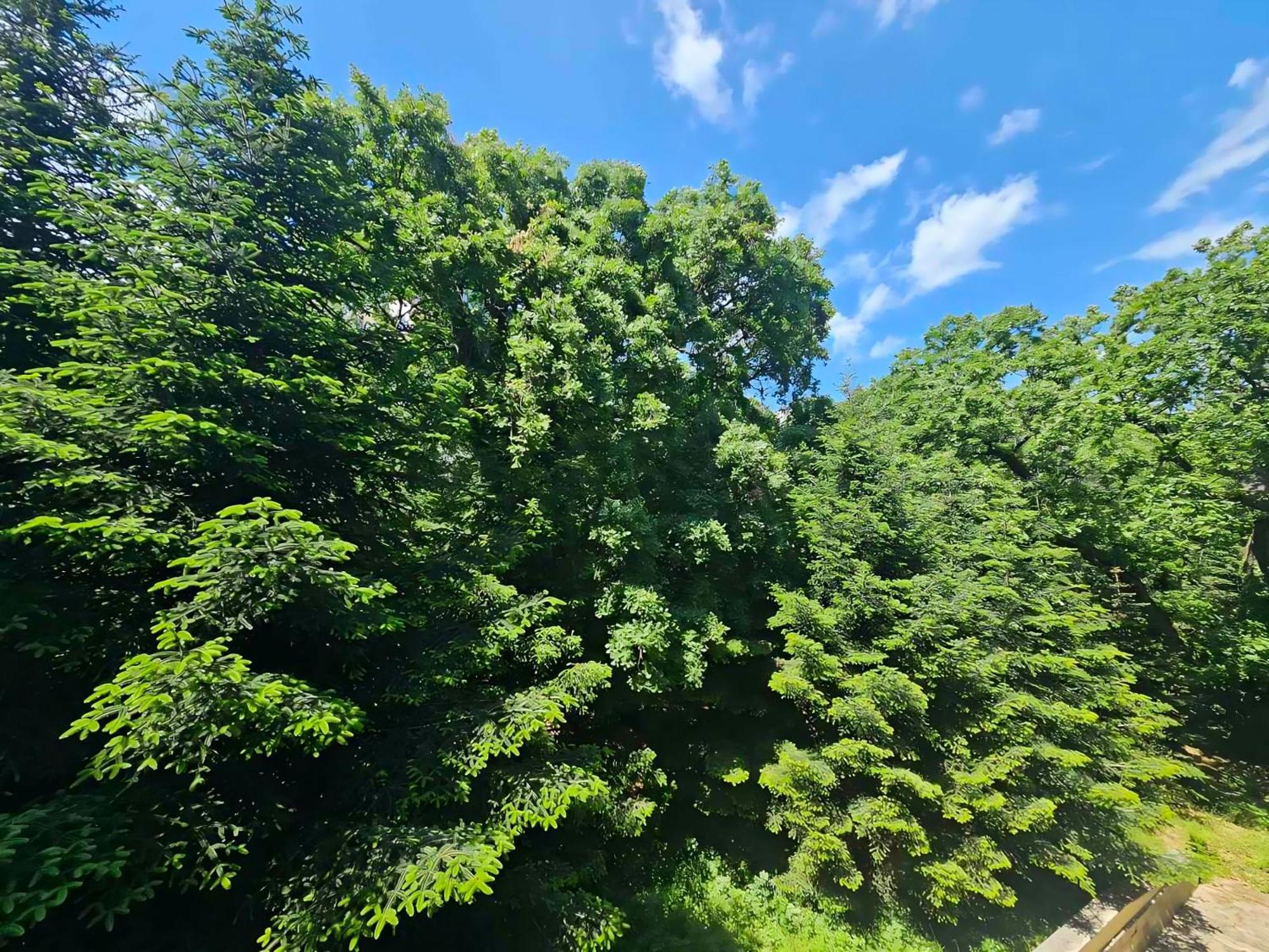 Europroperties Iglika Apartments Zlatni pjasătsi Eksteriør bilde